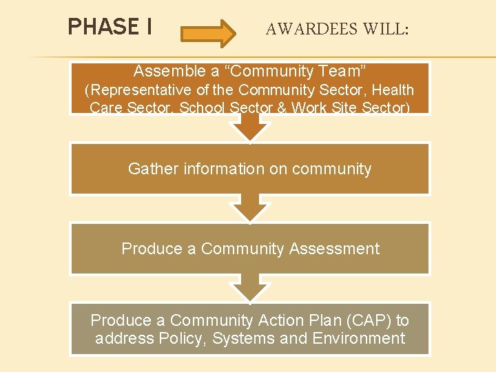 PHASE I AWARDEES WILL: Assemble a “Community Team” (Representative of the Community Sector, Health