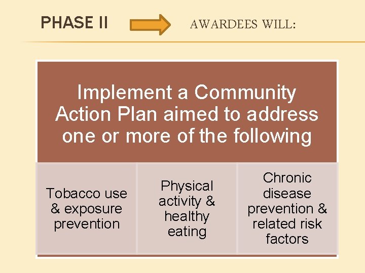 PHASE II AWARDEES WILL: Implement a Community Action Plan aimed to address one or