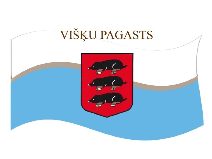 Višķu pagasta pārvalde 