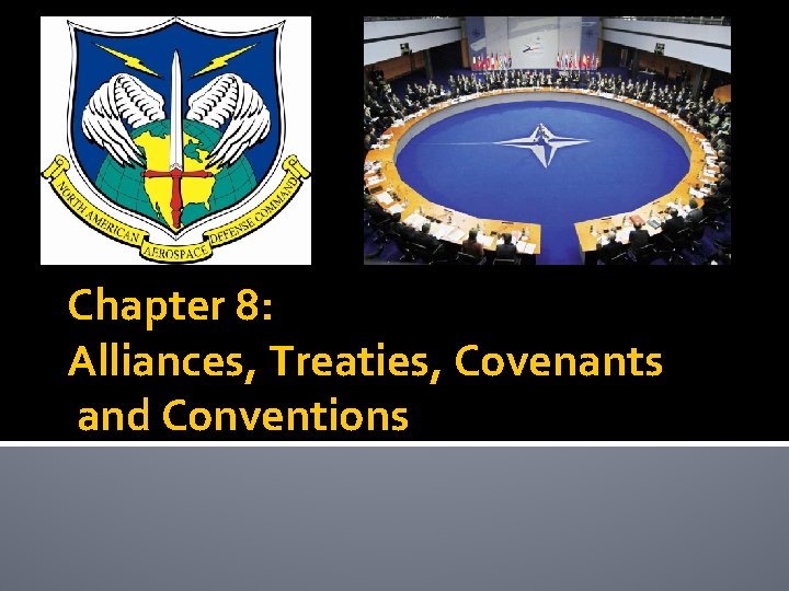 Chapter 8: Alliances, Treaties, Covenants and Conventions 