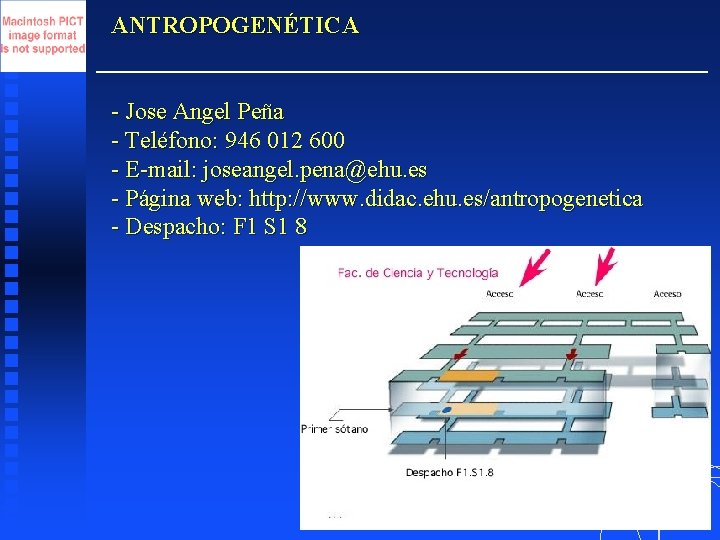 ANTROPOGENÉTICA - Jose Angel Peña - Teléfono: 946 012 600 - E-mail: joseangel. pena@ehu.