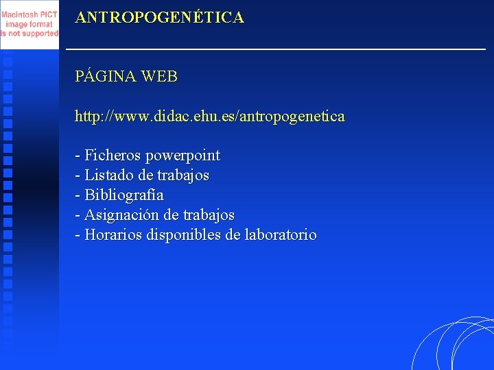 ANTROPOGENÉTICA PÁGINA WEB http: //www. didac. ehu. es/antropogenetica - Ficheros powerpoint - Listado de