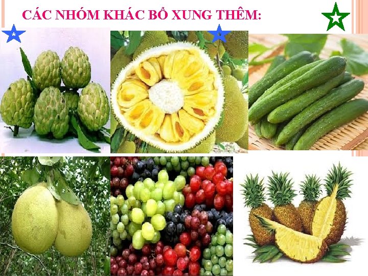 CÁC NHÓM KHÁC BỔ XUNG THÊM: 