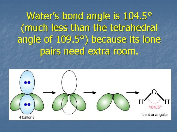 Water’s bond angle is 104. 5° (much less than the tetrahedral angle of 109.