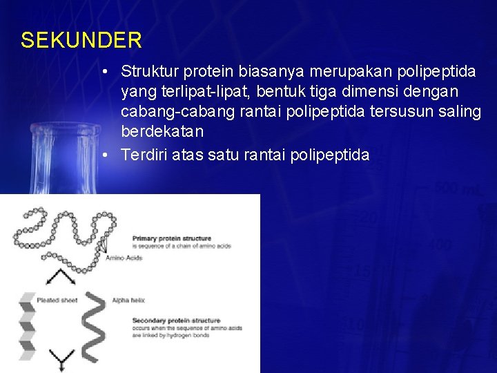 SEKUNDER • Struktur protein biasanya merupakan polipeptida yang terlipat-lipat, bentuk tiga dimensi dengan cabang-cabang