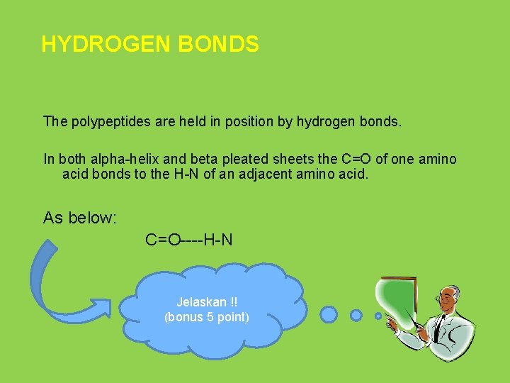 HYDROGEN BONDS The polypeptides are held in position by hydrogen bonds. In both alpha-helix
