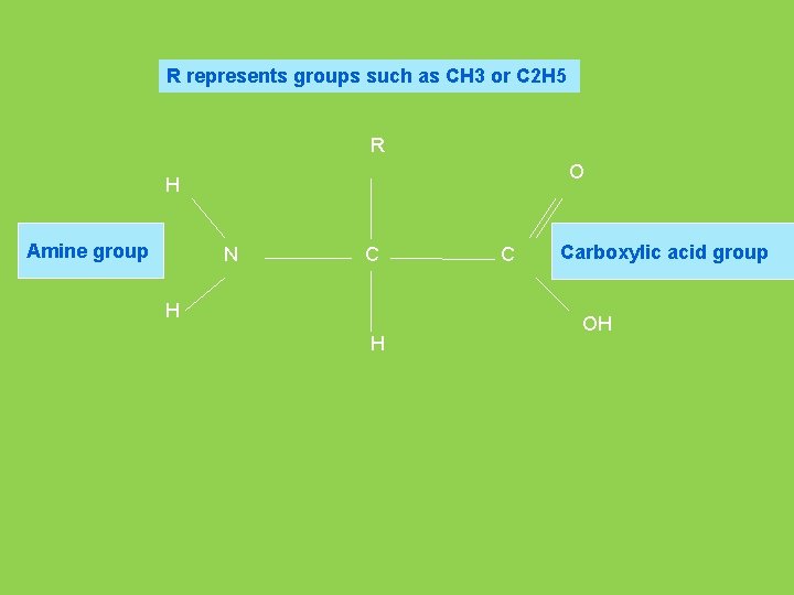 R represents groups such as CH 3 or C 2 H 5 R O