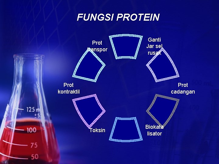 FUNGSI PROTEIN Prot transpor Ganti Jar sel rusak Prot kontraktil Prot cadangan Toksin Biokata