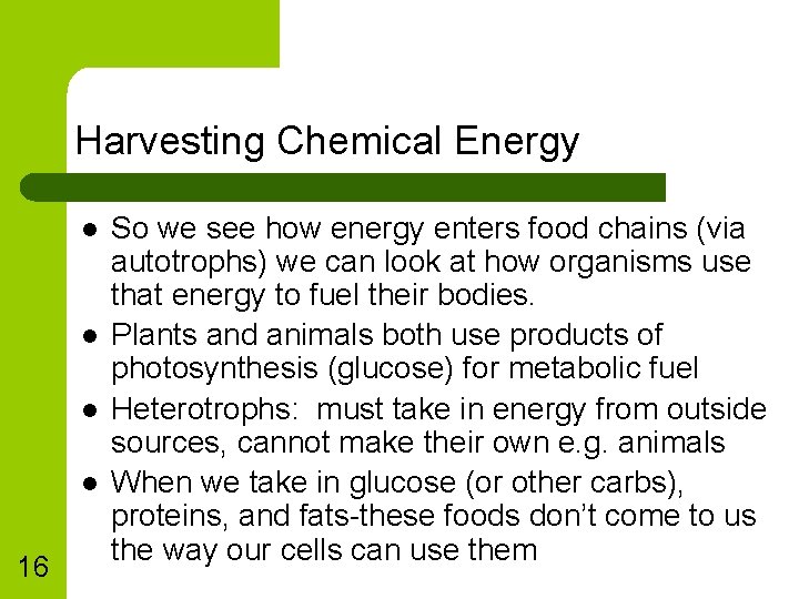 Harvesting Chemical Energy l l 16 So we see how energy enters food chains