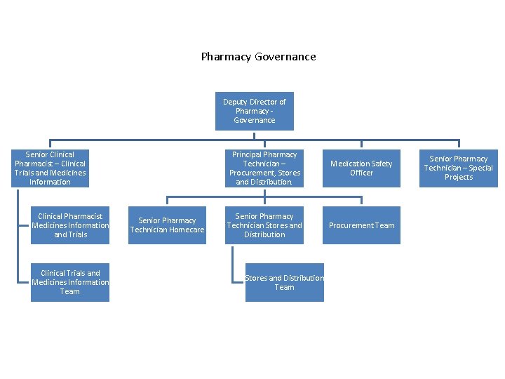 Pharmacy Governance Deputy Director of Pharmacy Governance Senior Clinical Pharmacist – Clinical Trials and