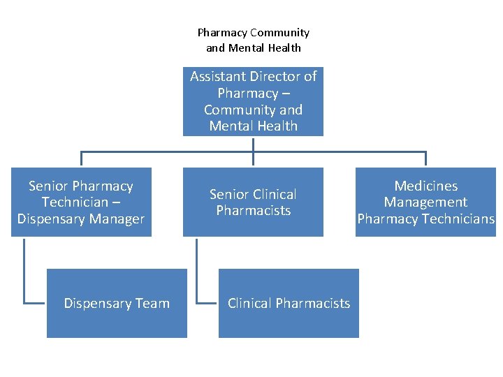 Pharmacy Community and Mental Health Assistant Director of Pharmacy – Community and Mental Health