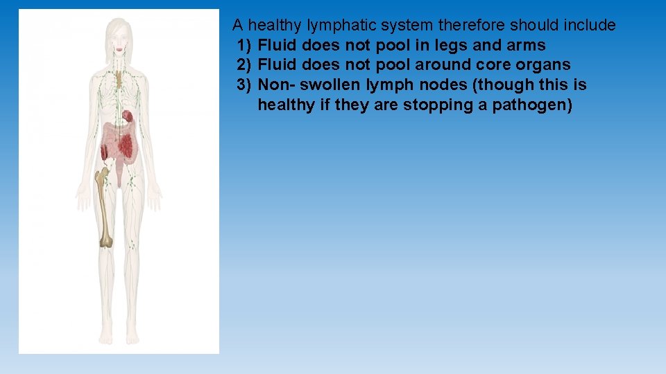 A healthy lymphatic system therefore should include 1) Fluid does not pool in legs