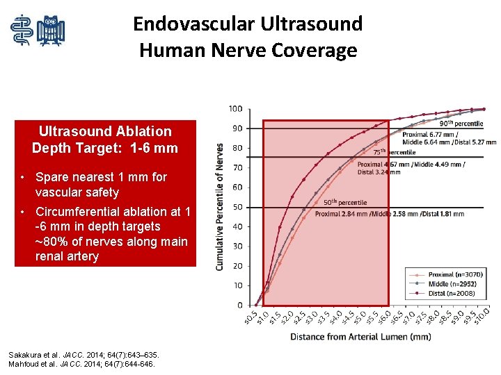 Endovascular Ultrasound Human Nerve Coverage Ultrasound Ablation Depth Target: 1 -6 mm • Spare