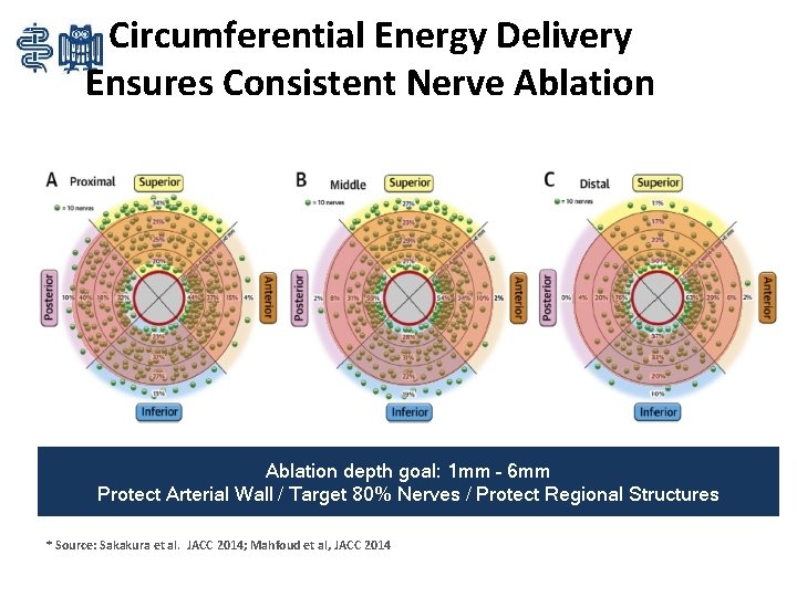 Circumferential Energy Delivery Ensures Consistent Nerve Ablation depth goal: 1 mm – 6 mm