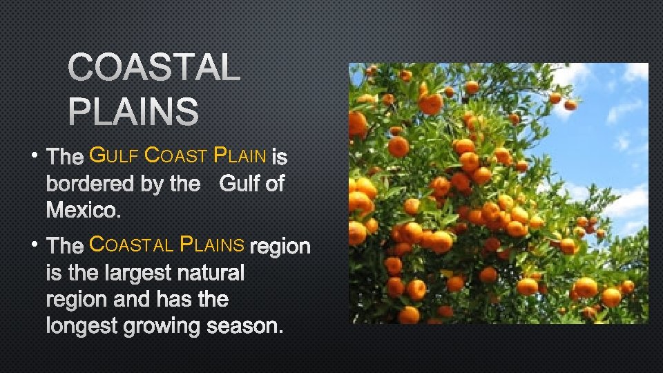 COASTAL PLAINS • THE GULF COAST PLAIN IS BORDERED BY THE GULF OF MEXICO.