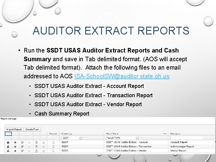 AUDITOR EXTRACT REPORTS • Run the SSDT USAS Auditor Extract Reports and Cash Summary