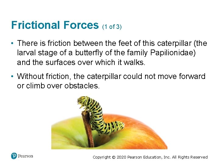 Frictional Forces (1 of 3) • There is friction between the feet of this