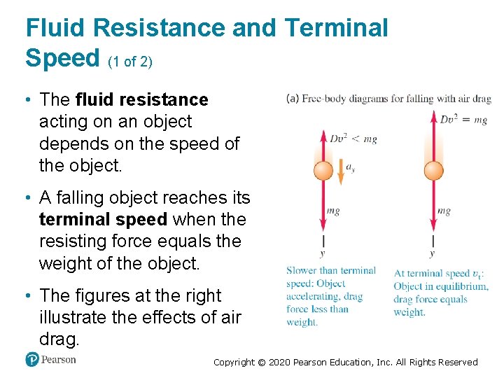 Fluid Resistance and Terminal Speed (1 of 2) • The fluid resistance acting on