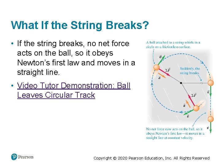 What If the String Breaks? • If the string breaks, no net force acts