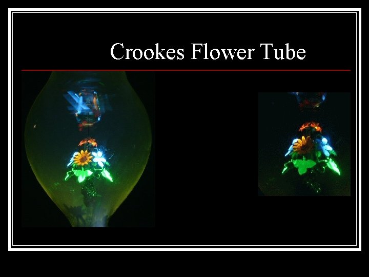 Crookes Flower Tube 