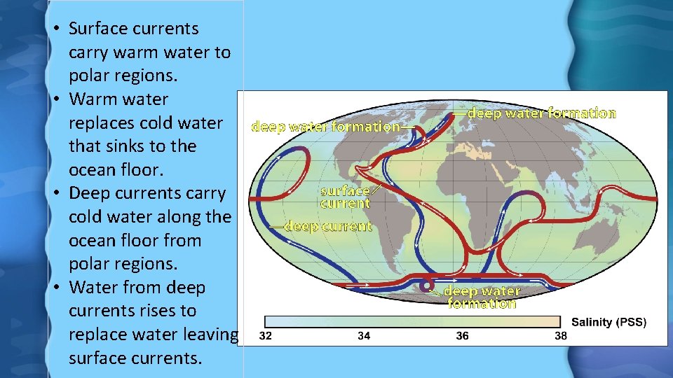  • Surface currents carry warm water to polar regions. • Warm water replaces