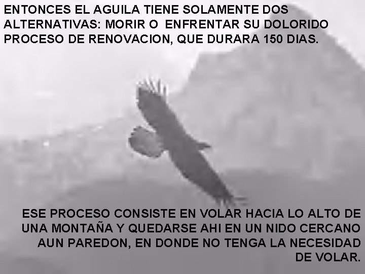 ENTONCES EL AGUILA TIENE SOLAMENTE DOS ALTERNATIVAS: MORIR O ENFRENTAR SU DOLORIDO PROCESO DE