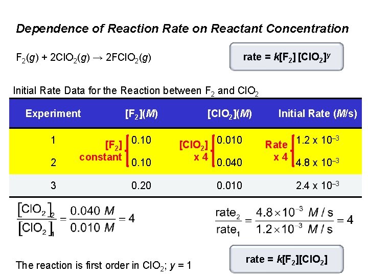 Dependence of Reaction Rate on Reactant Concentration rate = k[F 2] [Cl. O 2]y