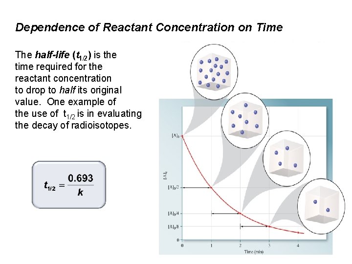 Dependence of Reactant Concentration on Time The half-life (t 1/2) is the time required