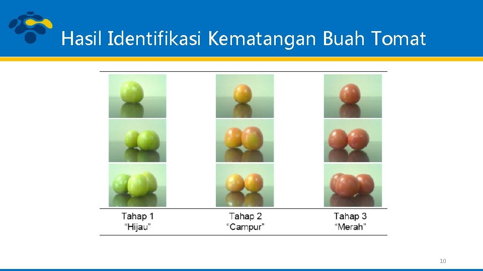 Hasil Identifikasi Kematangan Buah Tomat 10 