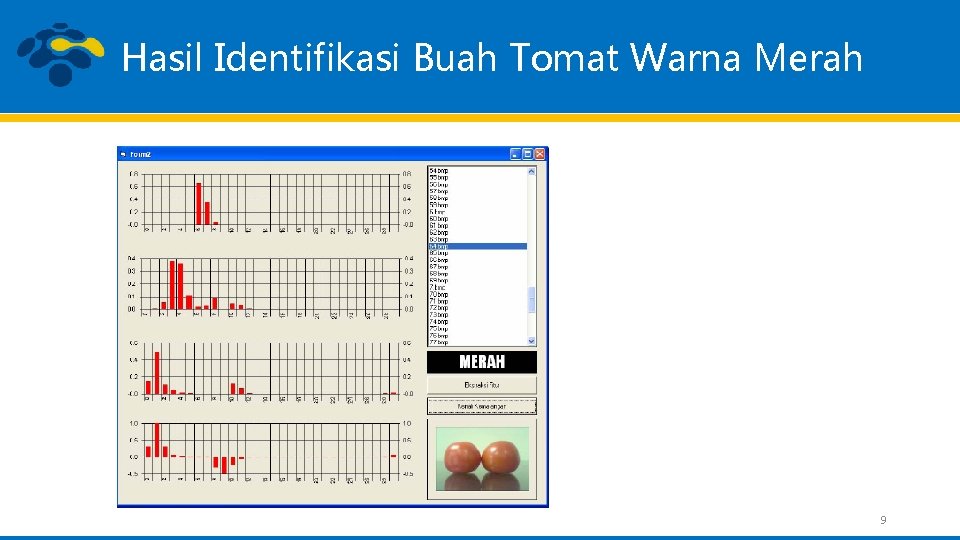 Hasil Identifikasi Buah Tomat Warna Merah 9 