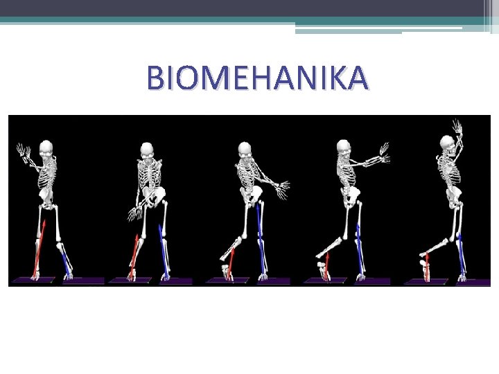 BIOMEHANIKA 