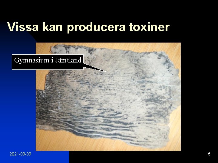 Vissa kan producera toxiner Gymnasium i Jämtland 2021 -09 -09 15 