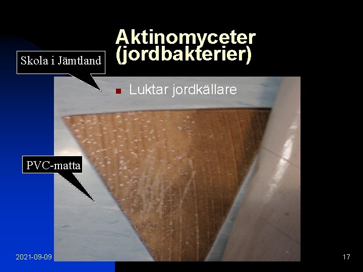 Skola i Jämtland Aktinomyceter (jordbakterier) n Luktar jordkällare PVC-matta 2021 -09 -09 17 
