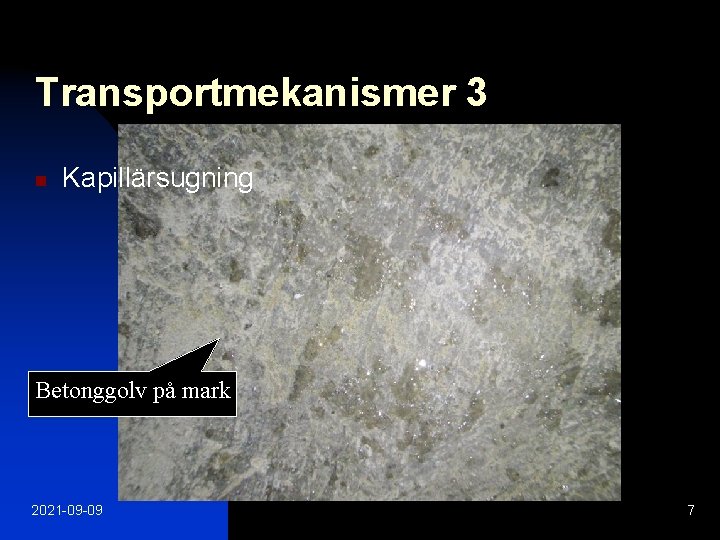 Transportmekanismer 3 n Kapillärsugning Betonggolv på mark 2021 -09 -09 7 