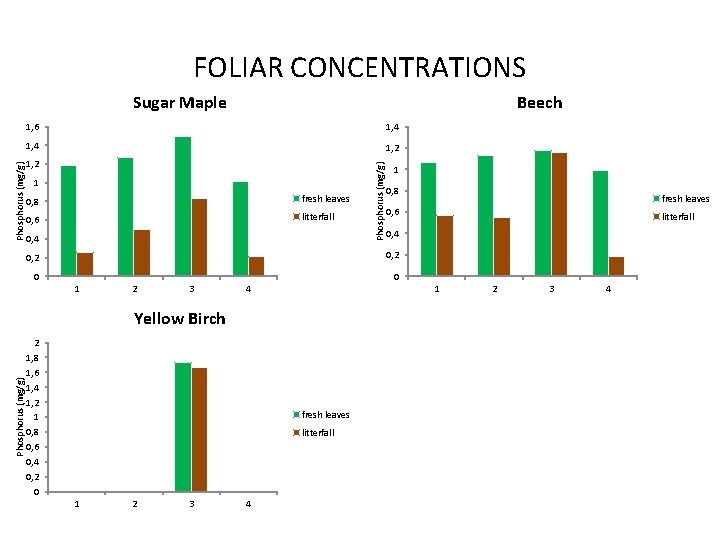 FOLIAR CONCENTRATIONS Beech 1, 6 1, 4 1, 2 1 0, 8 fresh leaves