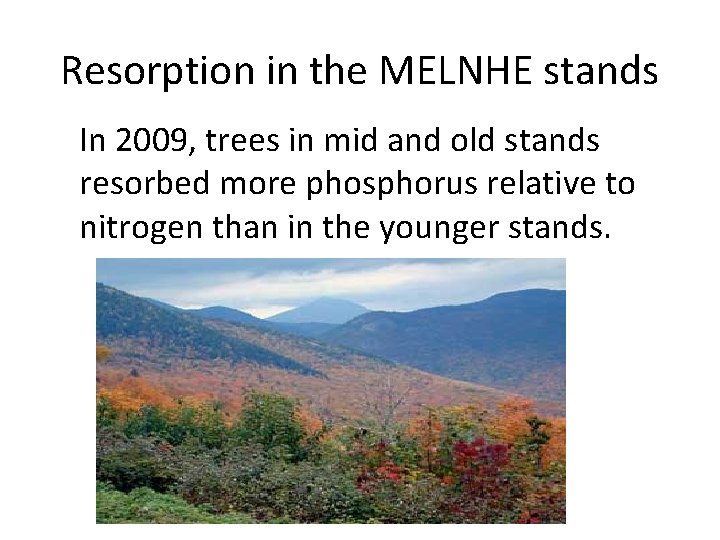 Resorption in the MELNHE stands In 2009, trees in mid and old stands resorbed