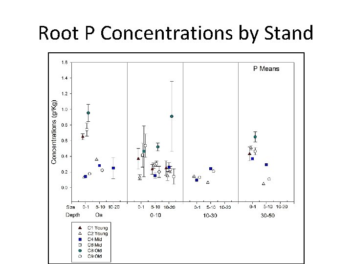 Root P Concentrations by Stand 