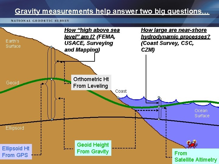 Gravity measurements help answer two big questions… Earth’s Surface Geoid How “high above sea