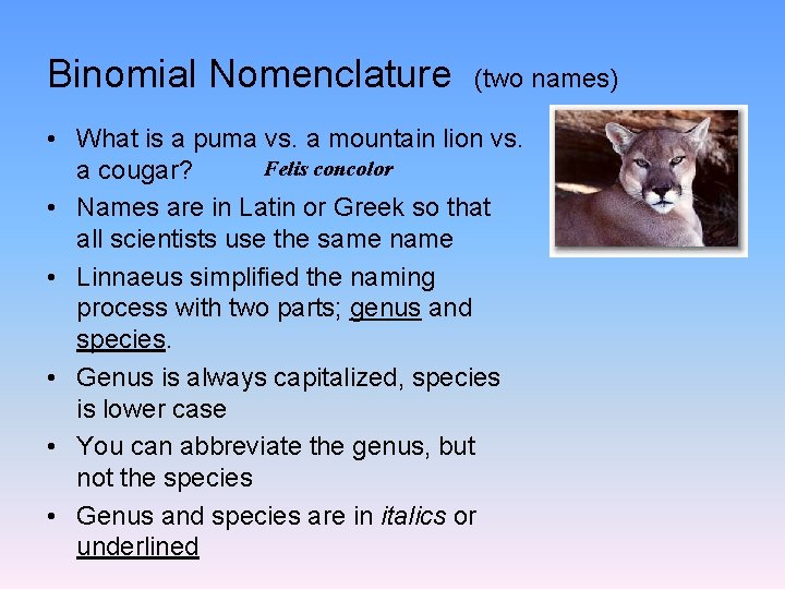 Binomial Nomenclature (two names) • What is a puma vs. a mountain lion vs.