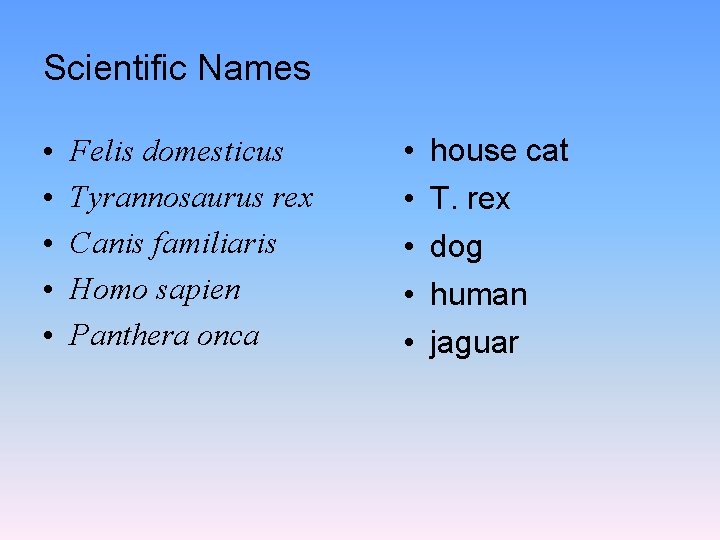 Scientific Names • • • Felis domesticus Tyrannosaurus rex Canis familiaris Homo sapien Panthera