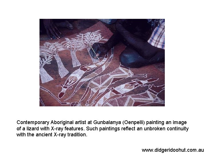Contemporary Aboriginal artist at Gunbalanya (Oenpelli) painting an image of a lizard with X-ray