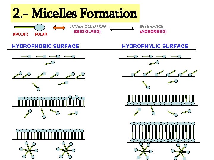 2. - Micelles Formation APOLAR INNER SOLUTION (DISSOLVED) HYDROPHOBIC SURFACE INTERFACE (ADSORBED) HYDROPHYLIC SURFACE