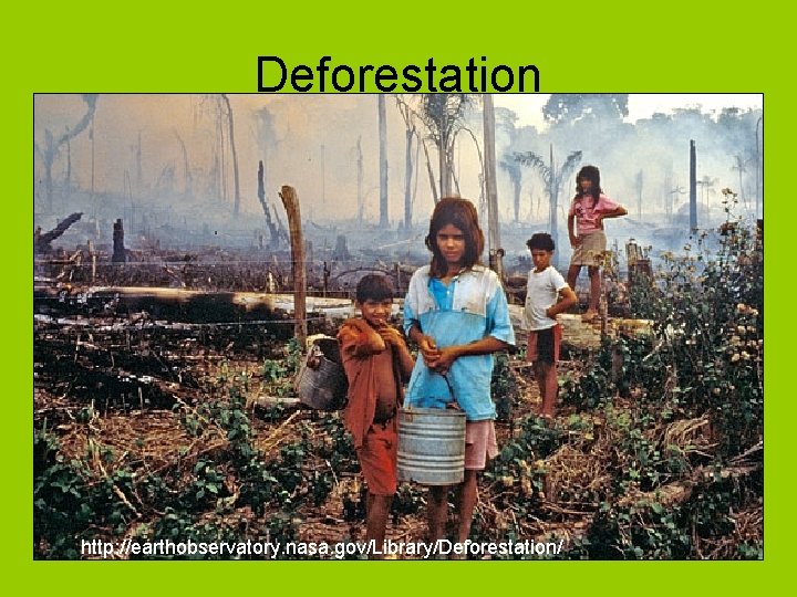 Deforestation http: //earthobservatory. nasa. gov/Library/Deforestation/ 