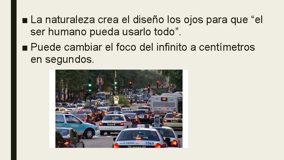 ■ La naturaleza crea el diseño los ojos para que “el ser humano pueda