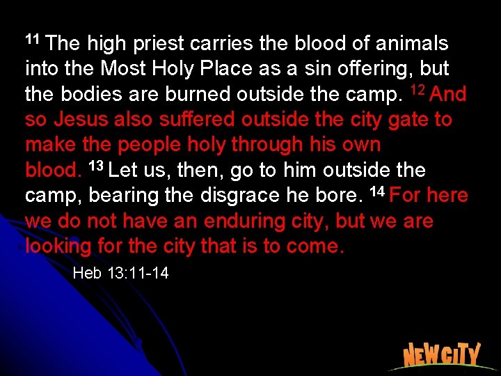 11 The high priest carries the blood of animals into the Most Holy Place