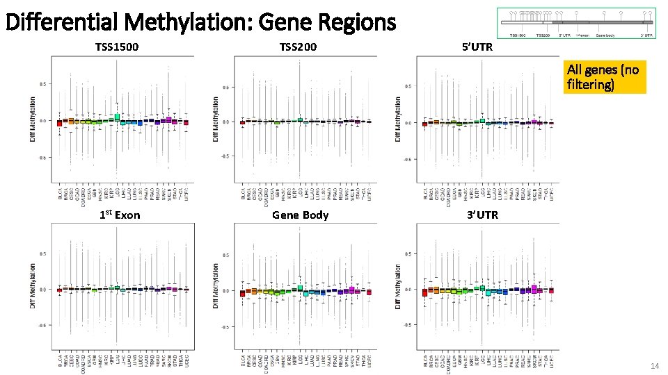 Differential Methylation: Gene Regions TSS 1500 TSS 200 5’UTR All genes (no filtering) 1