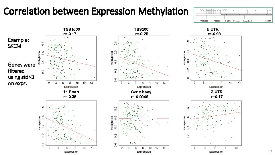 Correlation between Expression Methylation TSS 1500 r=-0. 17 TSS 200 r=-0. 28 1 st