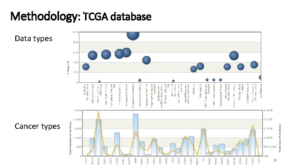 Methodology: TCGA database Data types Cancer types 36 