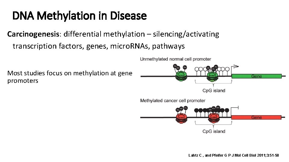 DNA Methylation in Disease Carcinogenesis: differential methylation – silencing/activating transcription factors, genes, micro. RNAs,