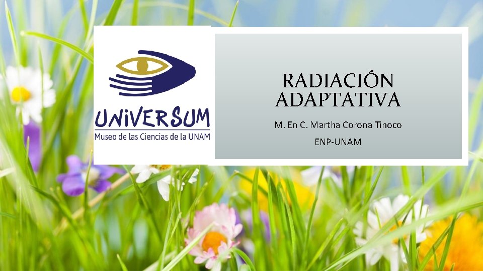 RADIACIÓN ADAPTATIVA M. En C. Martha Corona Tinoco ENP-UNAM 